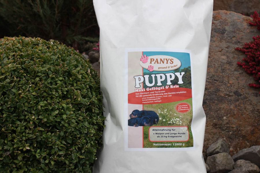 Puppy Maxi Geflügel & Reis Züchterangebot 3 + 1 gratis